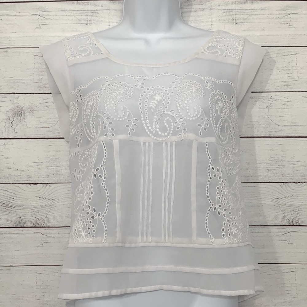 EUC American Rag Islet Sheer Top